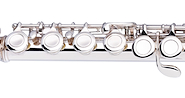 "C" Flauta, 16 Llaves, Estuche STAGG WSFL111