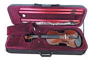 Violin 4/4 Macizo Hecho A Mano Tapa Pino Seleccionado Fully STRADELLA MV141944 - $ 693.494