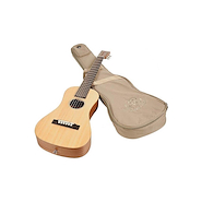 Guitarra Acustica | Traveller |  Diap Rosewood | Tapa solida SX TG1