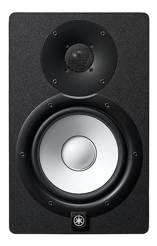 Monitor Potenciado 2 vías 6,5