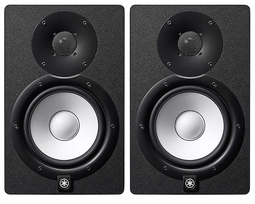 Monitor Potenciado 2 vías. Woofer 5