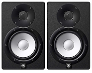 Monitor Potenciado 2 vías. Woofer 5