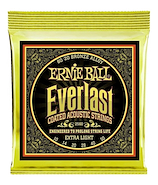 ERNIE BALL P02560