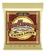 ERNIE BALL P02006