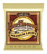 ERNIE BALL P02003