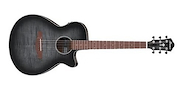 IBANEZ AEG70TCH