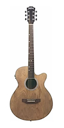 Washburn WA45CE N