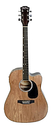 Washburn WA47CE N