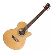 Washburn EA15 N Natural