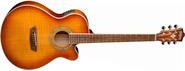 Washburn EA15 I Ice Tea