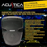 ACUSTICA AC-15A PROSHOW