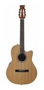 APPLAUSE AB24CII-CED Balladeer Classic Cedar