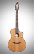 BREEDLOVE PUN31CE