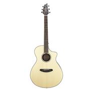 BREEDLOVE PEC24CE