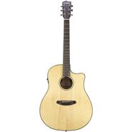 BREEDLOVE DSD21CE