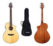 BREEDLOVE DSC21CE