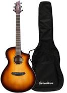 BREEDLOVE DSC21CES