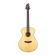 BREEDLOVE DSC21