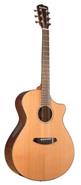 BREEDLOVE SRC39CE