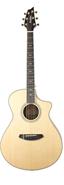 BREEDLOVE SEC26CE