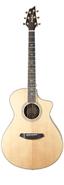 BREEDLOVE SEC23CE