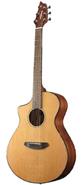 BREEDLOVE PUC31CEL