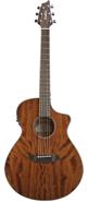 BREEDLOVE DSC11CE