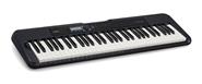 CASIO CTS300
