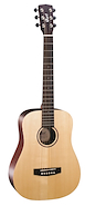 CORT EARTH-MINI F ADIRONDACK