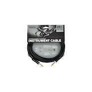 DADDARIO Planet Waves PW-AMSK-20
