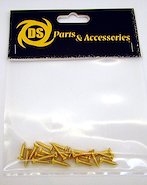 DS PICKUPS DS-A139 Tornillos para Pickguard Phillips