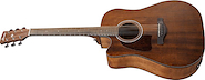 IBANEZ AW54LCEOPN Left Open Pore Natural