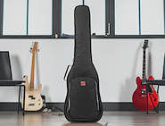MUSIC AREA Funda RB10 EG BLK Para ocultar