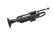 PARQUER PTR-100BK