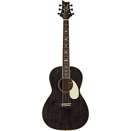 PRS PPE20 DG