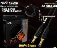 ROXTONE PGJJ120-GG-L6 PURE SERIES 6 Metros