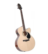 SAMICK GJ-100SCE