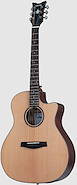 SCHECTER ORLEANS STUDIO AC