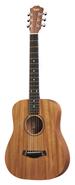 TAYLOR BT2