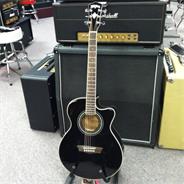 WASHBURN EA12B Negra