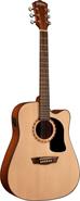 WASHBURN AD5CE Natural Apprentice Barcus Berry