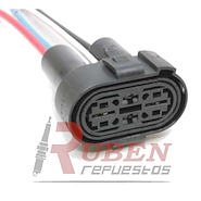 FICHA 4 VIAS 409 (HEMBRA) ELECTROV.