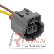 FICHA 2 VIAS 216 (HEMBRA) INYECTORES -3 GUIAS