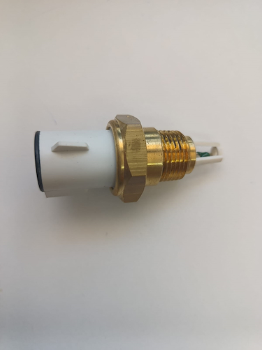 BULBO FORD ESCORT (TEMP INY) ORION AIS.BLCO 2 PIN