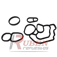 ORING CH S10 (KIT RAD/ACEITE) 12/..-TRAILBLAZER 12/..