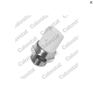 BULBO CH S10 (ELECTRO) MAXION-BLAZER