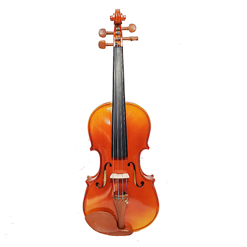 Violin madera prof. VG200 4/4 AILEEN