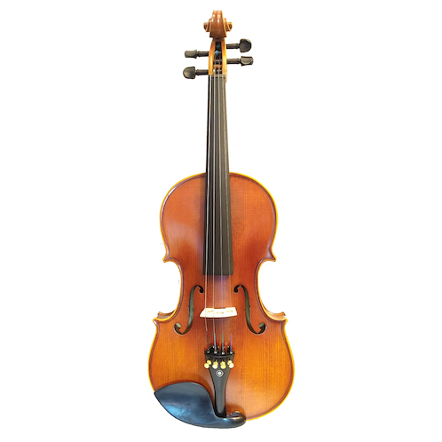 VIOLIN 4/4 -C/ estuche, arco, resina VG210H 4/4 AILEEN
