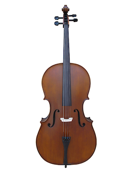 cello 4/4 madera maciza/ebano lustre mate JCE-01B ANCONA