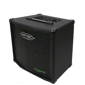 Amplificador de 100 Watts. (negro). A100TS ARTEC